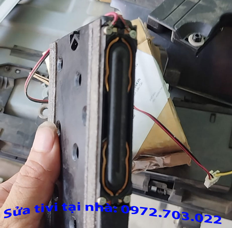 Tivi Asanzo Bị Mất Tiếng